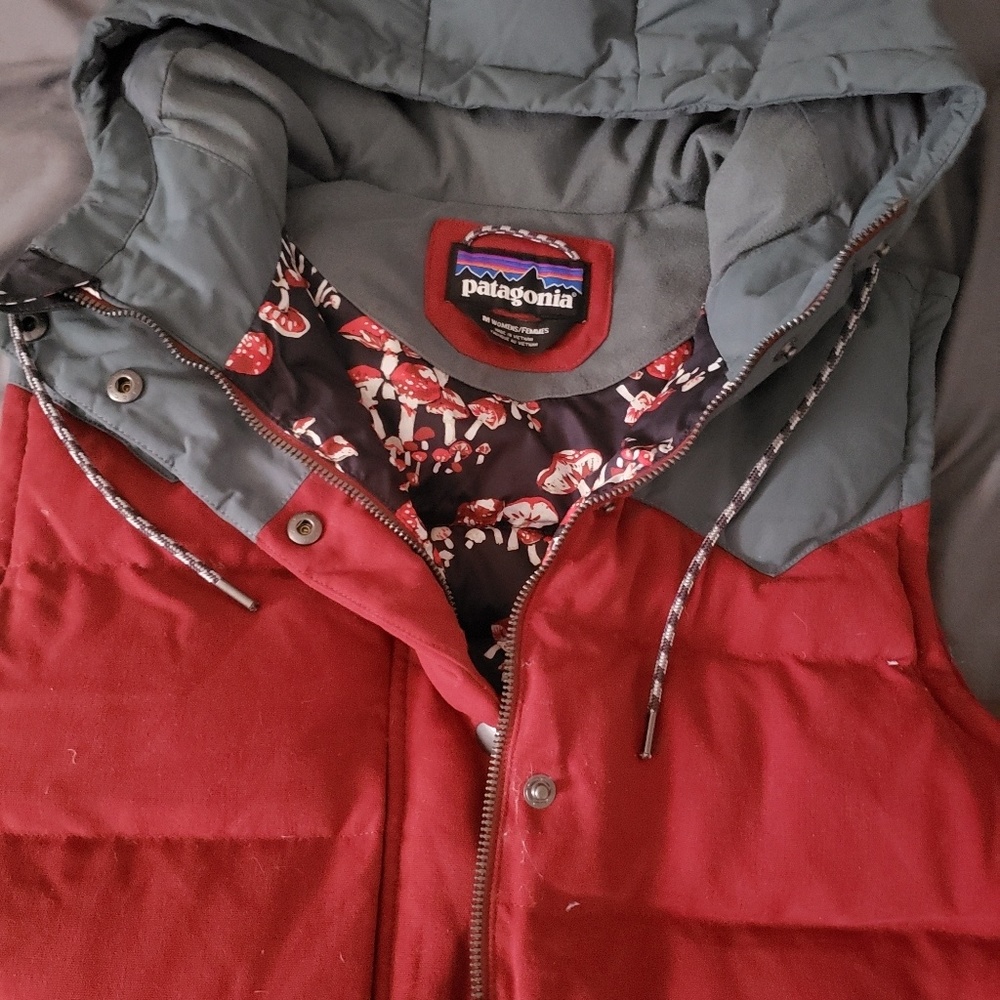 Patagonia Bivy Down Vest